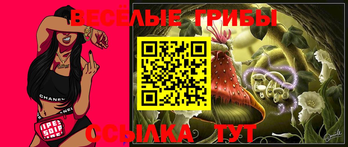 где найти   Галлюциногенные грибы ЛСД  Вход с VPN  Камышин 
