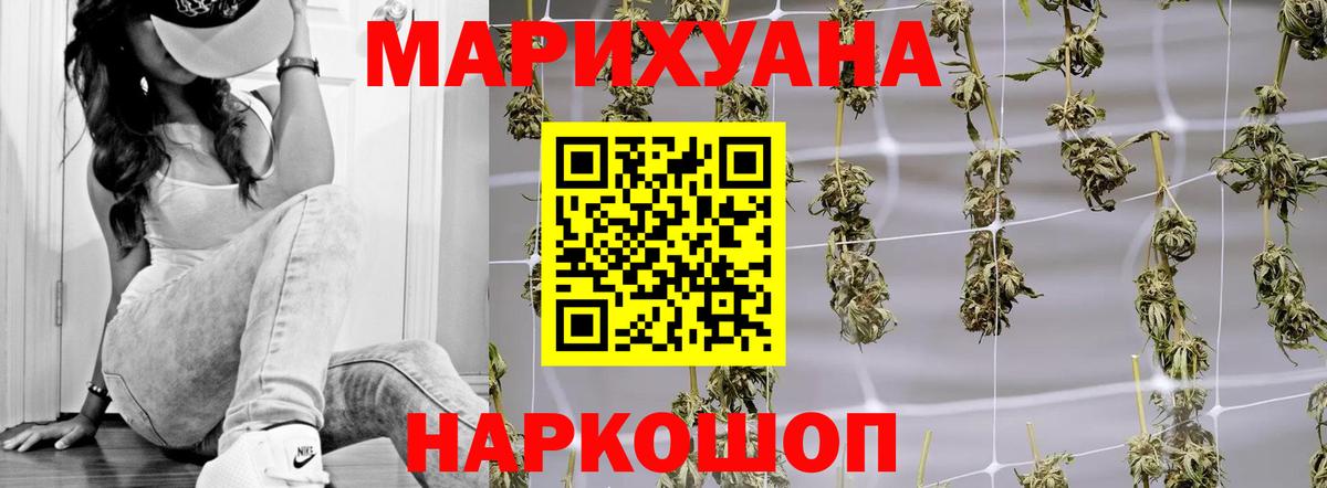 Конопля сатива Камышин
