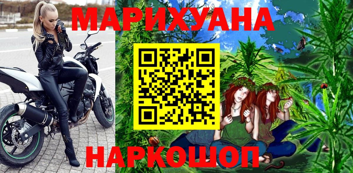 Камышин  Канабис планчик  Марихуана ГИДРОПОН  Каннабис индика  Конопля Bruce Banner  Вход с VPN 
